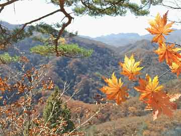 宝利配资:贷款杠杆股票-新华社快讯：国家主席习近平在俄罗斯喀山出席金砖国家领导人会晤